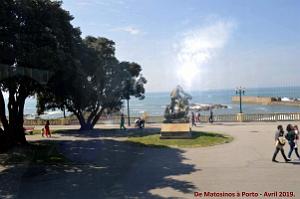 0769 - De Matosinhos a Porto